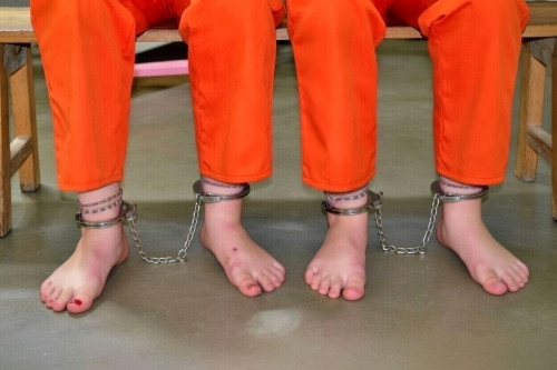 IMG_2817741f0506a247de76.md.jpg