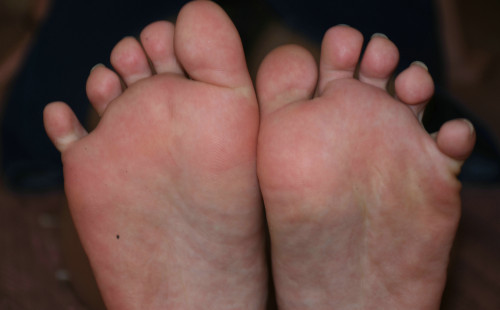 DSC_9007351722da160a4ce4.md.jpg