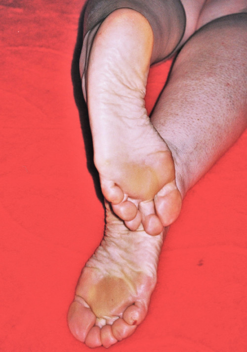 ELA-SOLAS_LOUCAS336dbcda5884e029.md.jpg