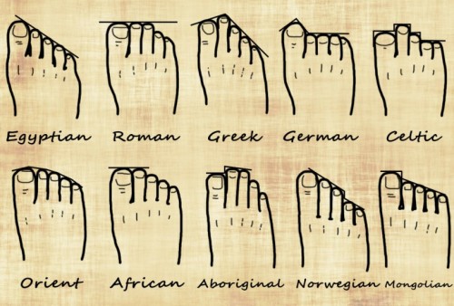 Your-Foot-Shape-and-Your-Genealogy-chart287288f2ee49b923.md.jpg